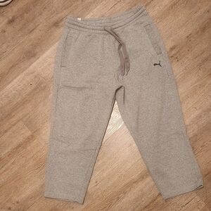 Puma Men Gray Jogger Pants